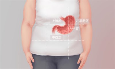 ​胃在身体哪个位置 胃在人体什么位置