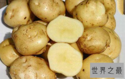 ​世界上最贵的土豆