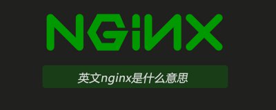 ​英文nginx是什么意思