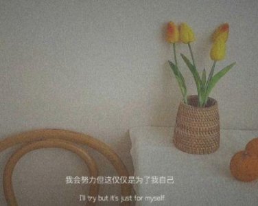 ​中国爱国古诗词大全