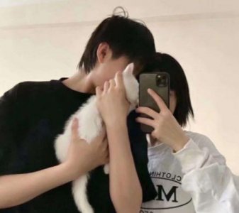 ​间接表白的精美句子