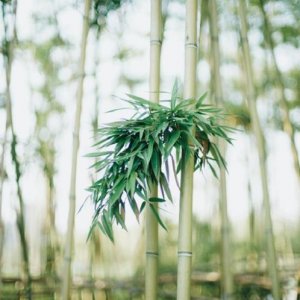 ​深夜句子说说心情短语