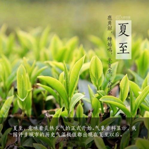个性签名简单气质8个字