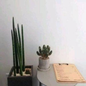 ​励志说说心情短语大全