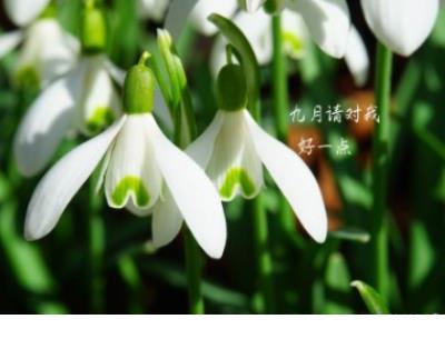 qq一句话经典语录
