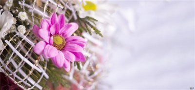 ​早安正能量句子励志句子（激励人心的优美早安心语，句句阳光正能量，送给