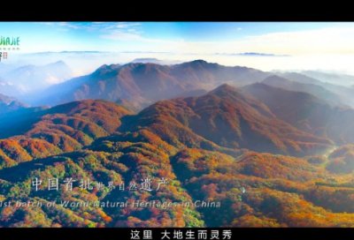 ​好先生经典对白