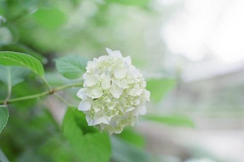 伤感句子句句心痛
