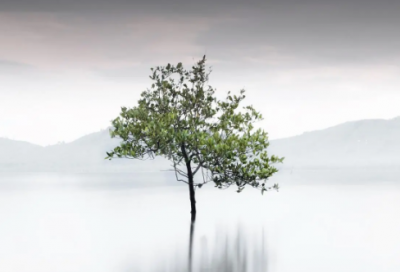 ​春雨像什么的比喻句