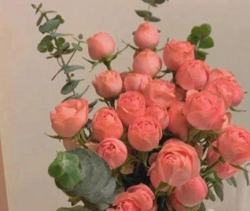 ​心向阳光正能量的句子精选