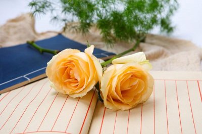 ​对未来憧憬的句子简短(未来可期的正能量句子)