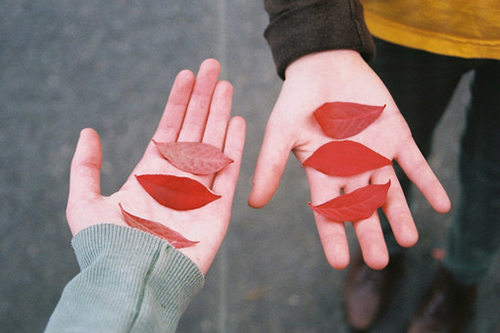 林肯传好词好句好段