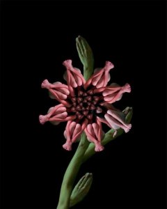 ​时光流逝的唯美短句子 时间说说感悟生活