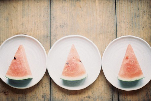 昆虫记好词好句摘抄 昆虫记好词好句摘抄感悟(精选25句)