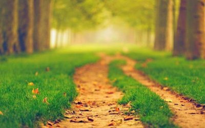 ​关于经历只有自己懂的句子（22句经历过后才明白的短句）