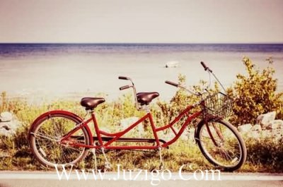 ​中国的酒文化优美句子酒文化的优美句子(精选28句)