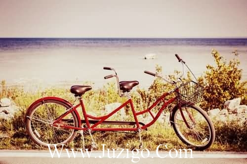 中国的酒文化优美句子酒文化的优美句子(精选28句)