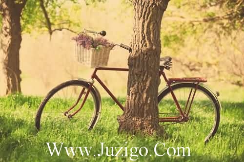 生活的唯美句子