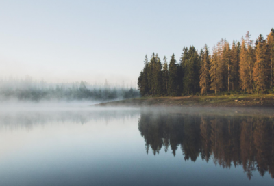 ​心情美美的句子(今天心情美美的句子)