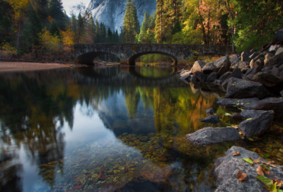 ​心情的句子短句【调节心情的方法】