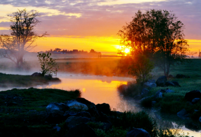 ​描写人心情好的句子(关于美丽心情的优美句子)