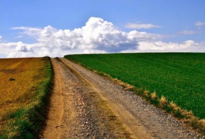 ​家中养鱼的心情说说 关于养鱼心情唯美句子(精选35句)