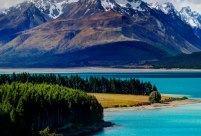 ​喝中药的心情朋友圈 关于喝中药的说说(精选40句)