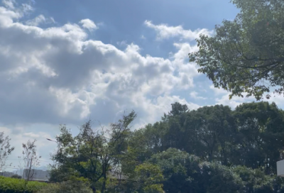 ​命运捉弄人的心情句子（精选推荐）