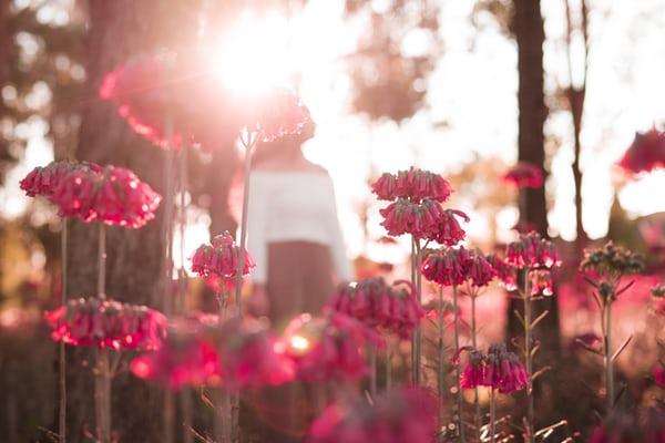 关于跨年朋友圈说说大全