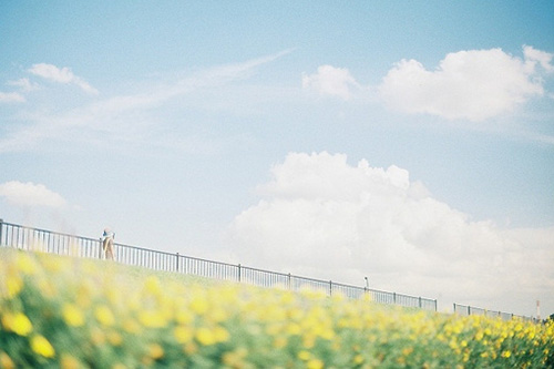 米莱经典语录35句