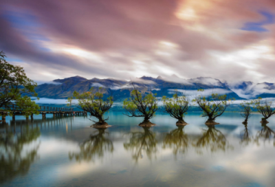 ​当妈语录 当妈的心情语录(精选20句)