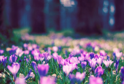 ​中秋节加班的心情说说50句