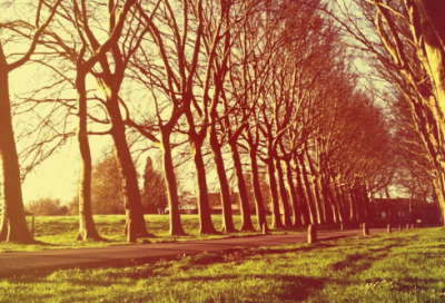 ​孩子长大了的感慨说说朋友圈(孩子长大了的说说心情短语)