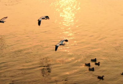 ​个人心情说说短句(一句话说透人生)