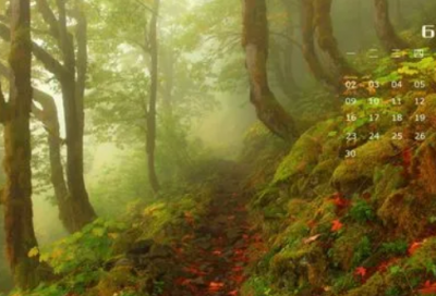 ​心情不好时发朋友圈的短(精选37句)