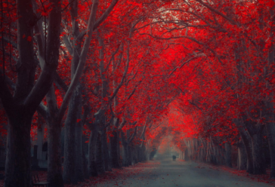 ​关于送给女孩励志的一句话