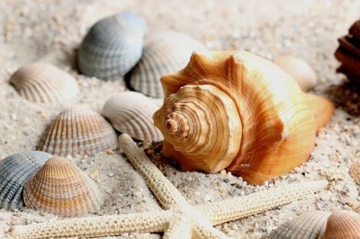 ​感慨生命脆弱的句子 生命脆弱世事无常句子