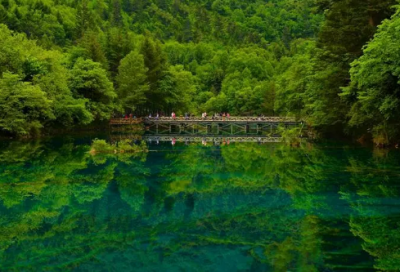 ​晚安话唯美句子 晚安的句子说说心情精选(精选40句)