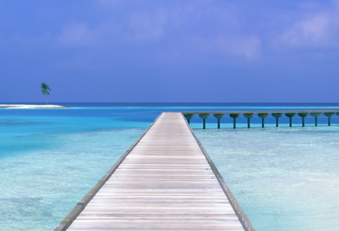 1702289277479942.png image.png