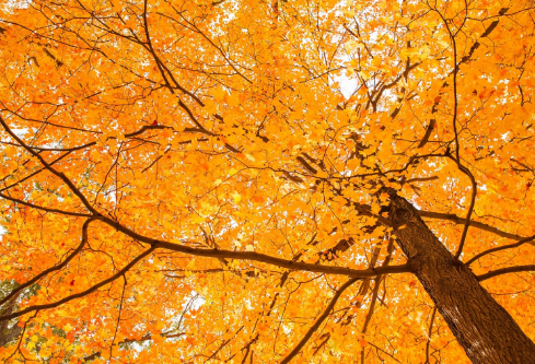 1688410659422916.png image.png