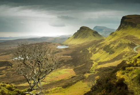 1711069656171034.png image.png