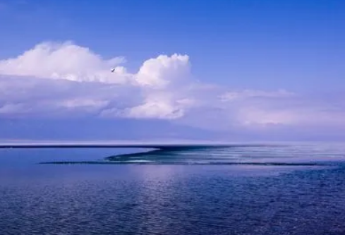 1711069822827991.png image.png