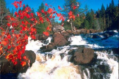 ​中秋节祝福语唯美句子(精选113句)