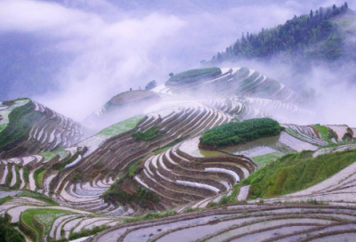 ​世上最经典的浪漫情诗（最能打动人心的短情书）