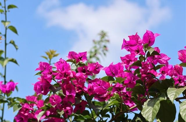 惊蛰的唯美句子 惊蛰的唯美句子