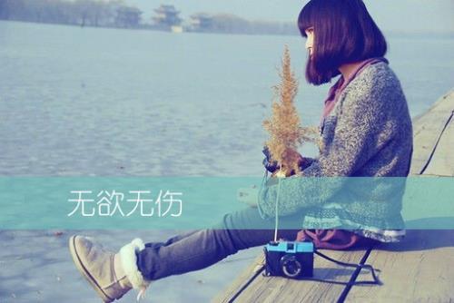 初中优美句子摘抄