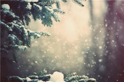 初中优美句子摘抄