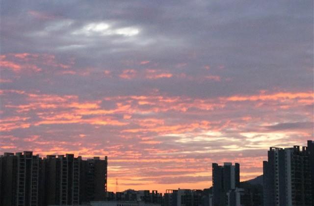 2026年最旺女孩名字有草有水【优选】