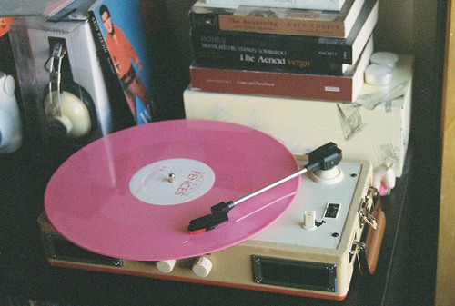 爱情诗句大全2026年48句