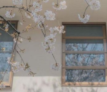 爱情诗句大全2026年80句